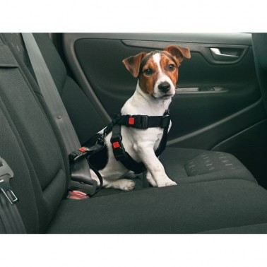 CINTURÓN DE SEGURIDAD PARA COCHE KARLIE-FLAMINGO