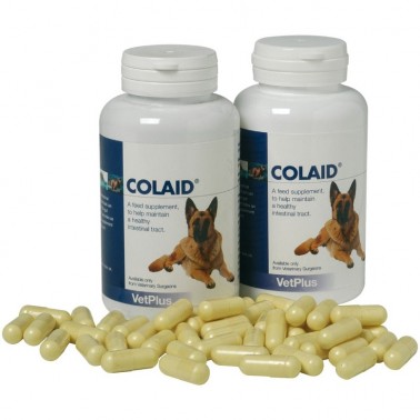 Colaid 90 capsulas Gastrointestinal complementos para perros