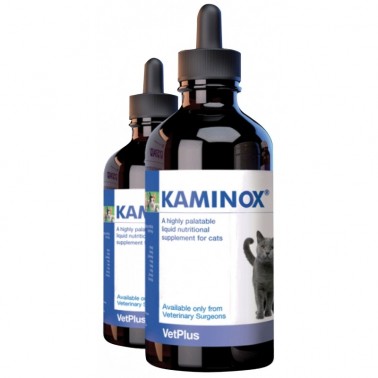 Kaminox Insuficiencia Renal en Gatos