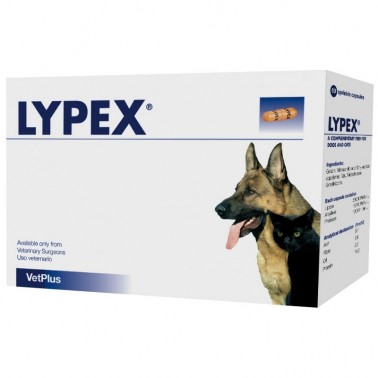 LYPEX 60 Capsulas Enzimas Pancreáticas Complementos para Perros y Gatos