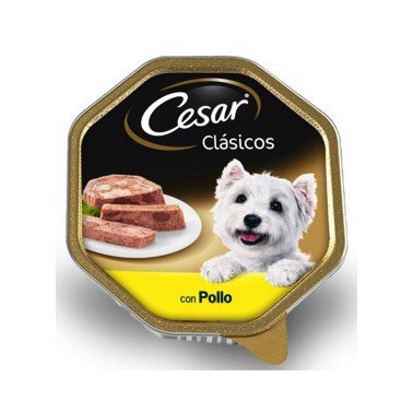 CESAR CLÁSICO PERRO PATÉ CON POLLO TARRINA DE 300g