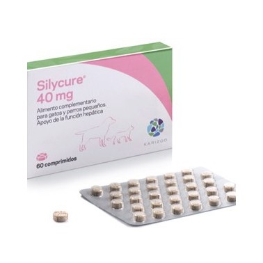 SILYCURE 40mg 60 COMPRIMIDOS