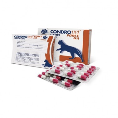 CONDROVET FORCE HA GATOS BIOIBERICA