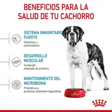 Royal Canin Giant Junior pienso para cachorro 15 KGR