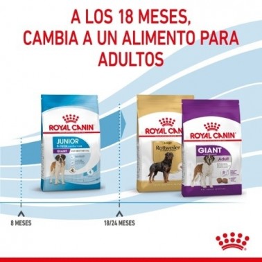 Royal Canin Giant Junior pienso para cachorro 15 KGR