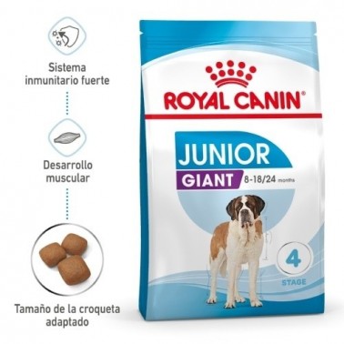 Royal Canin Giant Junior pienso para cachorro 15 KGR