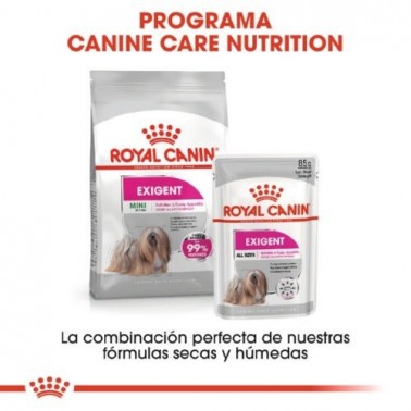 Royal Canin Exigent húmedo para perros  12 x 85 gr