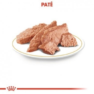Royal Canin Chihuahua Adult comida húmeda para perros