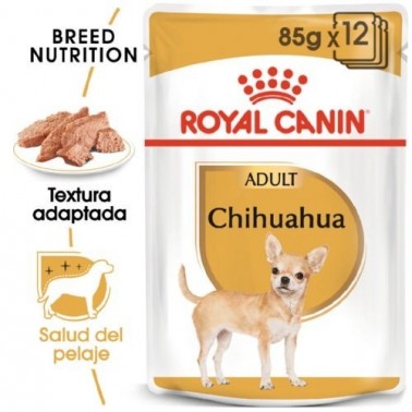 Royal Canin Chihuahua Adult comida húmeda para perros