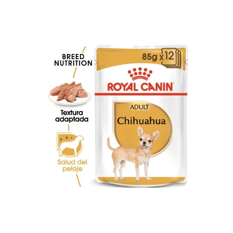 Royal Canin Chihuahua Adult comida húmeda para perros