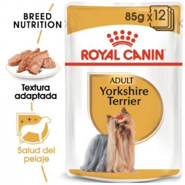 Royal Canin Yorkshire Terrier Adult comida húmeda para perros