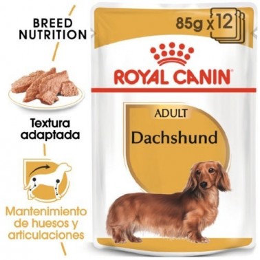 Royal Canin Teckel Dachshund Adult comida húmeda para perros