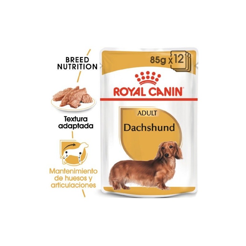 Royal Canin Teckel Dachshund Adult comida húmeda para perros