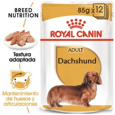 Royal Canin Teckel Dachshund Adult comida húmeda para perros