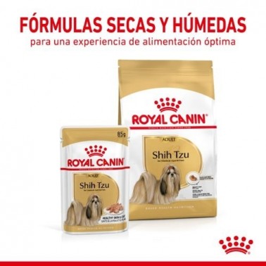 Royal Canin Comida húmeda  Shih Tzu 12x85 gr