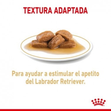 Royal Canin Comida húmeda  Labrador Retriever 10x 140 gr