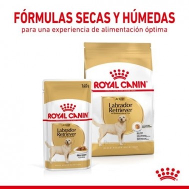 Royal Canin Comida húmeda  Labrador Retriever 10x 140 gr