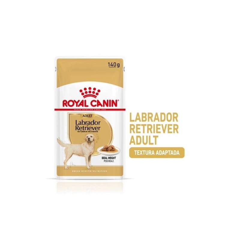 Royal Canin Comida húmeda  Labrador Retriever 10x 140 gr