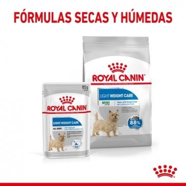 Royal Canin Light Weight Care pienso seco para perro adulto mini