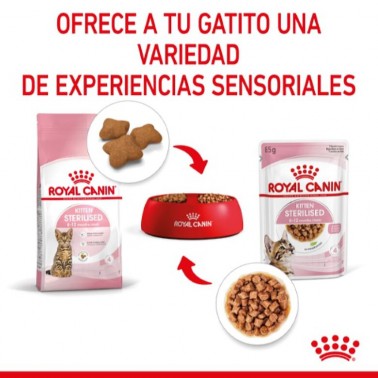 Royal Canin Kitten Sterilised salsa sobre para gatos