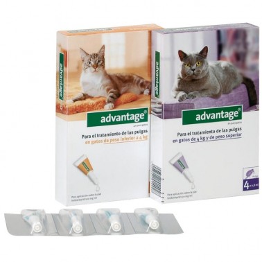 Advantage gatos  4 Pipetas desparasitar gatos