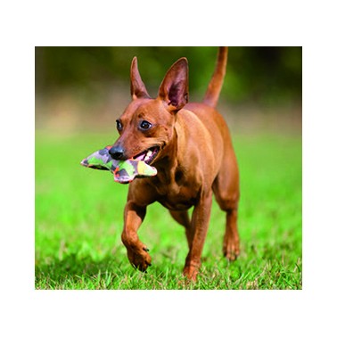 JUGUETE BONE PEQUEÑO