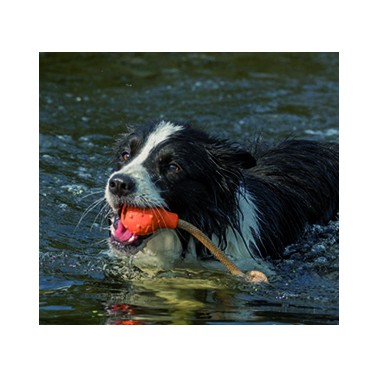 JUGUETE SWIMMING EDDY PEQUEÑO
