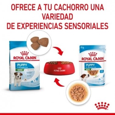 Royal Canin Comida húmeda  Puppy Mini 1 x 85 gr