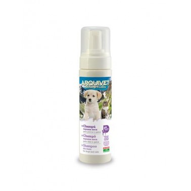 Champú espuma seca - 200 ml