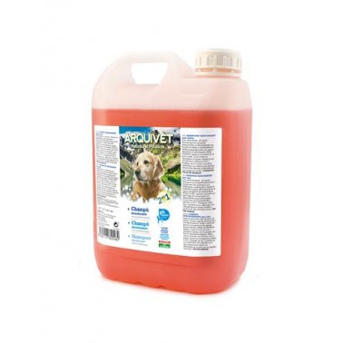 Champú desodorante 2 en 1 - 5 L