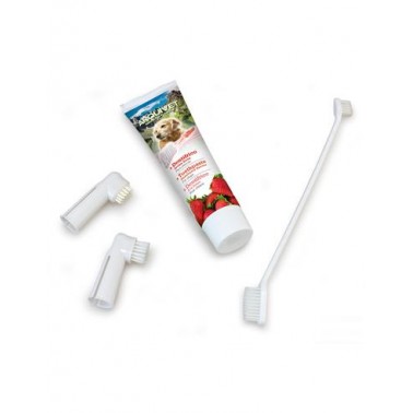 Set Dental fresa - Pasta de dientes y cepillos para perros