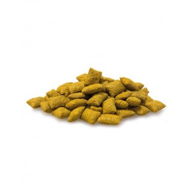 Cheese Bits - 40 g