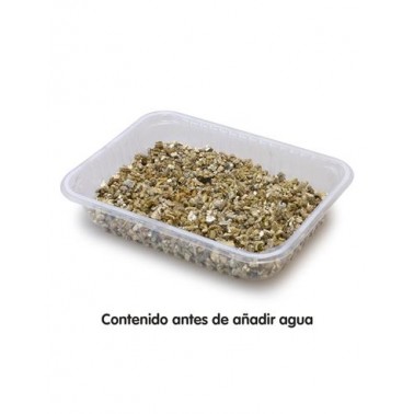 Hierba para gatos en bandeja 100 gr - Evita la acumulación de bolas de pelo