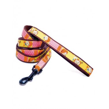 Correa Marron 2,5 cm