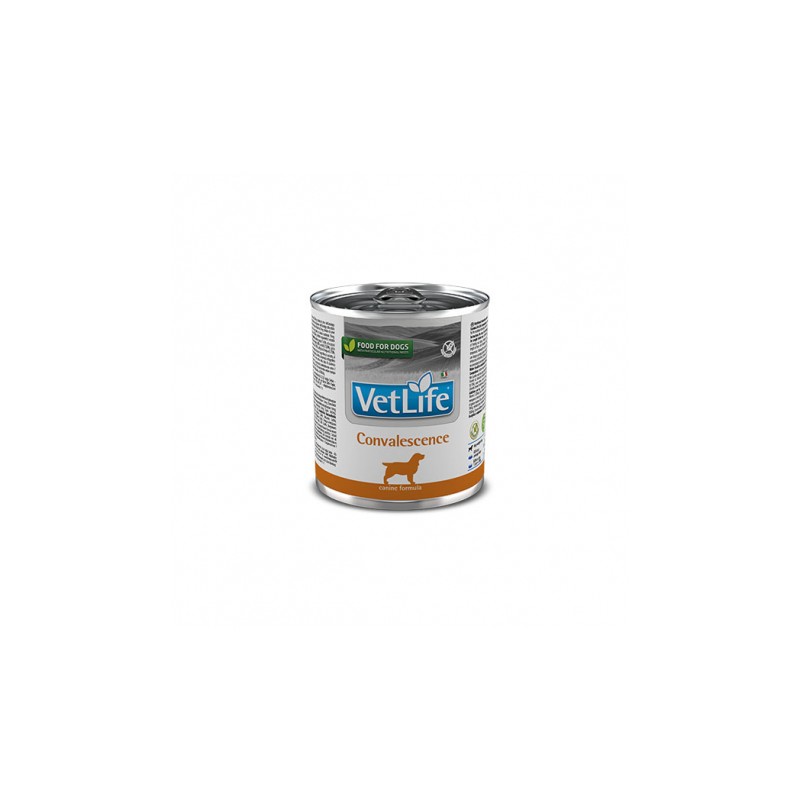 FARMINA VET LIFE DOG CONVALESCENCE 300GR