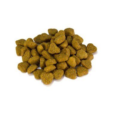 Adult - Pienso para perros adultos de todas las razas a partir de los 12 meses de edad - Cordero y arroz 12 kg