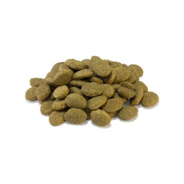 Arquivet - Senior & Light - Pienso para perros adultos - Pollo y arroz - 3 Kg