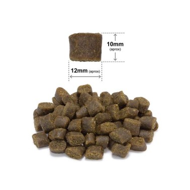 Arquivet Fresh Ocean Fish - 10 Kg