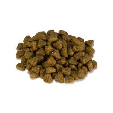 Arquivet-Adult Mini-Pienso para perros razas pequeñas-Pollo y arroz-10 kg