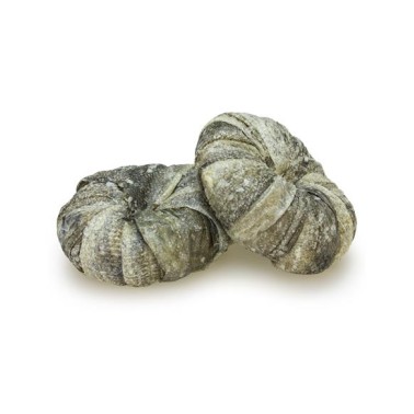 Aros masticables con Bacalao - bolsa 2 unidades