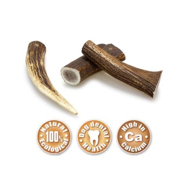 Asta de ciervo - L (76-150 g)