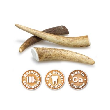 Asta de ciervo - S (15-39 g)