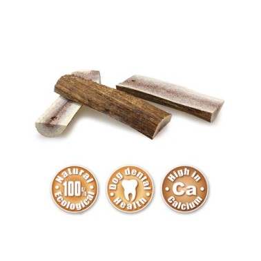 Media asta de ciervo - L (81-120 g)