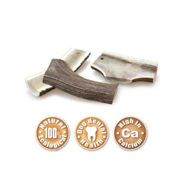 Media asta de ciervo - XL (121-170 g)