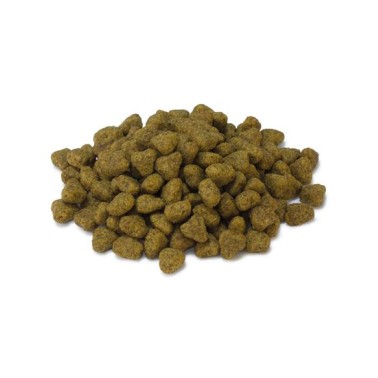 Arquivet - Sterilized - Pienso para gatos esterilizados - Pavo - 10 kg