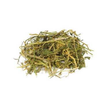 Alfalfa - 500 g