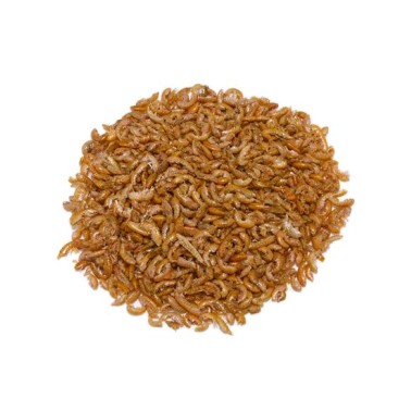 Gammarus - 265 ml