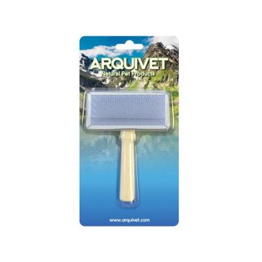 Carda blanda - 13 x 9 cm