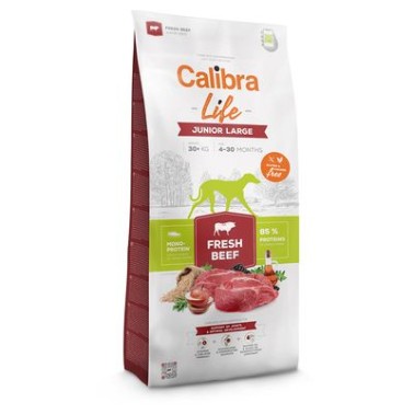 Calibra Life Adult Large Breed Vacuno 12KG