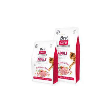 BRIT CARE GRAIN FREE ACTIVITY SUPPORT GATO ADULTO 2Kg